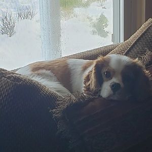 Meet your Posher, Therese